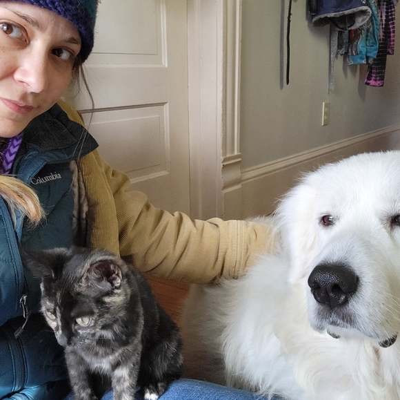 Meet your Posher, Ellie. - Picture 2 of 2